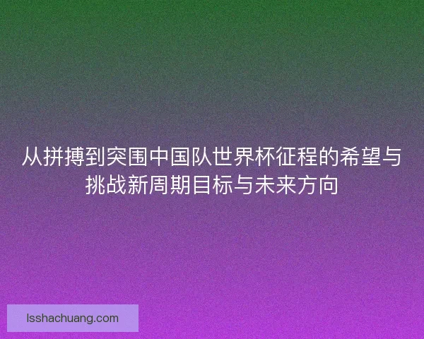 从拼搏到突围中国队世界杯征程的希望与挑战新周期目标与未来方向
