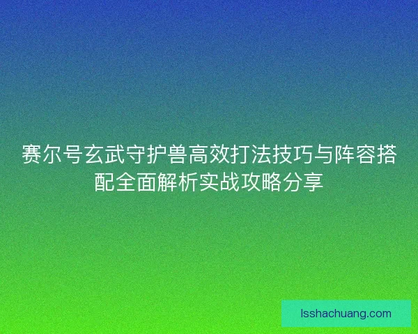 赛尔号玄武守护兽高效打法技巧与阵容搭配全面解析实战攻略分享